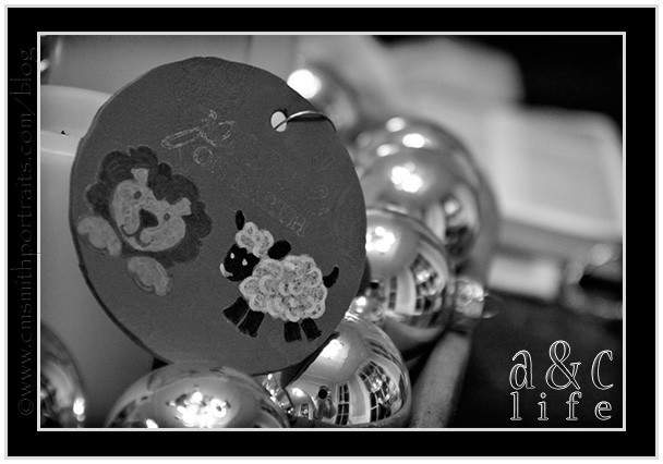 11_17jt-037 11_17jt-037